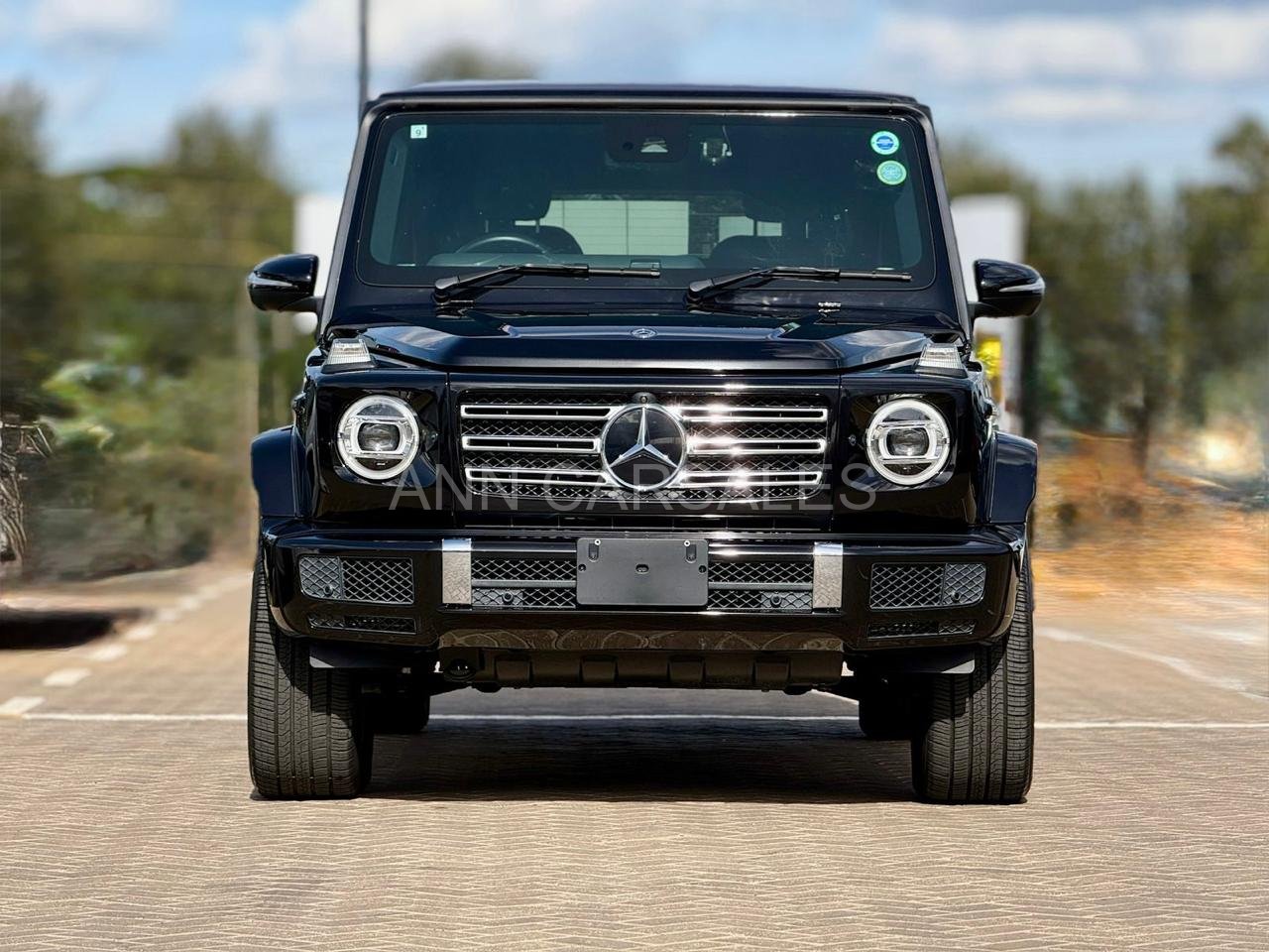 2019 MERCEDES BENZ G350d G-WAGON